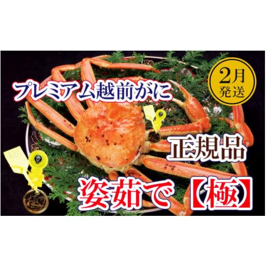 ふるさと納税 福井県 越前町 越前がに本場の越前町からお届け！ 完全なる越前がに「極」 × 1杯 桐箱入り！越前がにの頂点【福井県 越前町 雄…