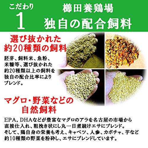 櫛田養鶏場のおいしい白卵餌にこだわった超新鮮たまごを養鶏場から直送！