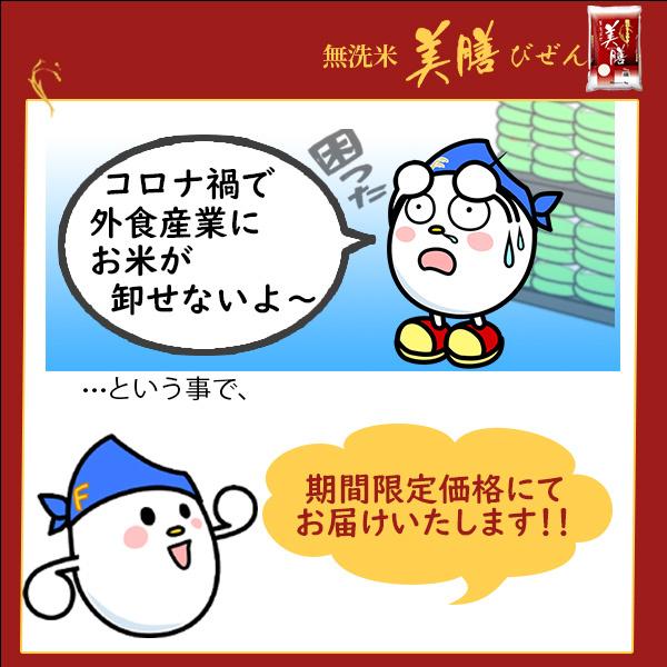 米 無洗米 10kg 10kg×1袋 送料無料 美膳 お米 国内産 白米