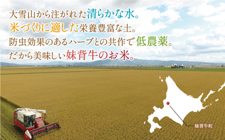 令和５年産 妹背牛産白米20kｇ（一括）（1月発送）