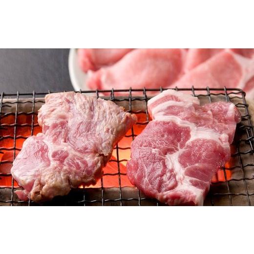 ふるさと納税 岐阜県 下呂市 飛騨納豆喰豚肩ロース焼肉・生姜焼き用　880g  豚肉 しょうが焼き