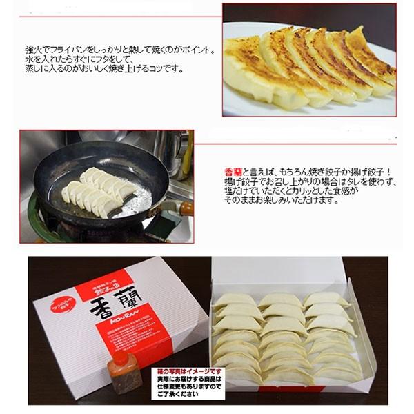 餃子 餃子専門店 香蘭 餃子48個 24個×2 宇都宮 お取り寄せ  送料無料 ギフト