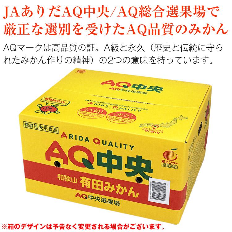 有田みかん 小玉みかん みかん 10kg 和歌山県産 赤秀品 154〜170玉程度 2Sサイズ JAありだ 高糖度 常温便 同梱不可 指定日不可 ミカン 蜜柑