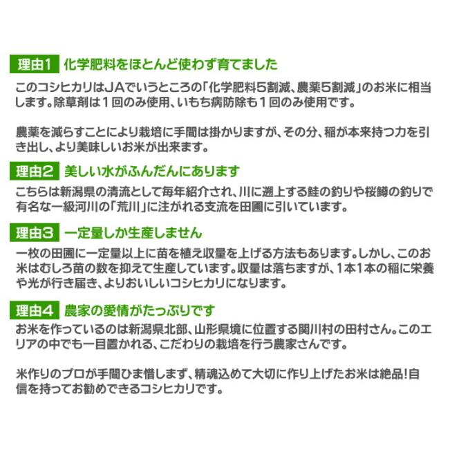 無洗米 農薬低減米 コシヒカリ 2kg 米 お米   低農薬 新潟 岩船産 令和5年産 新米   人気 おいしい 新潟米 こしひかり 送料無料