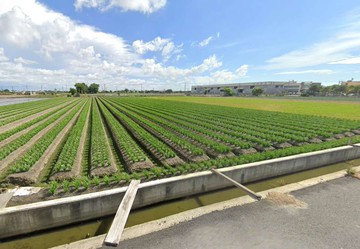 【承辦】三斤獨家❤️埔鹽地形超漂亮農地1.2萬/坪｜彰化縣埔鹽鄉三省段