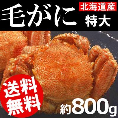 毛がに 約800g 特大サイズ 北海道産 おせち お正月 送料無料 贈答品 お取り寄せ