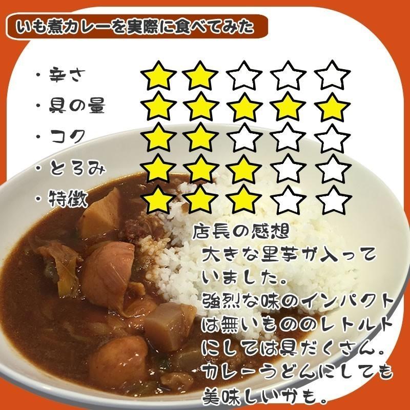 やまがた いも煮カレー10袋[いも煮カレー×10袋]