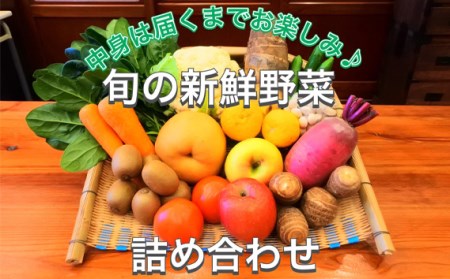 No.376 新鮮野菜詰め合わせ100サイズ