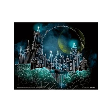 【哈利波特】星空下的霍格華茲 3D海報/Harry Potter/Hogwarts