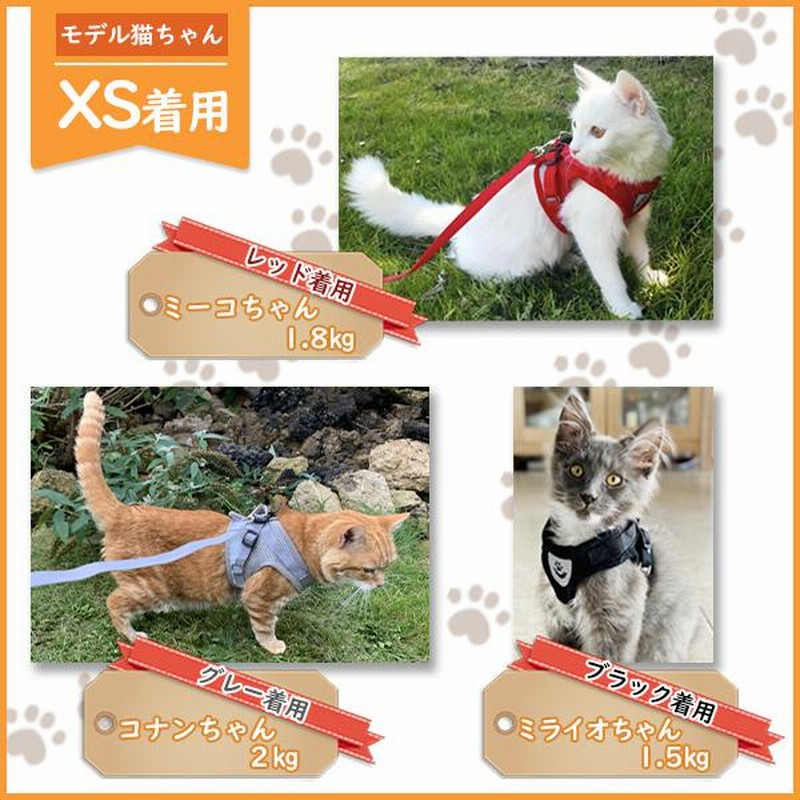 SALE／64%OFF】 犬 猫 ペット レッド L ハーネス ベスト リード メッシュ お散歩