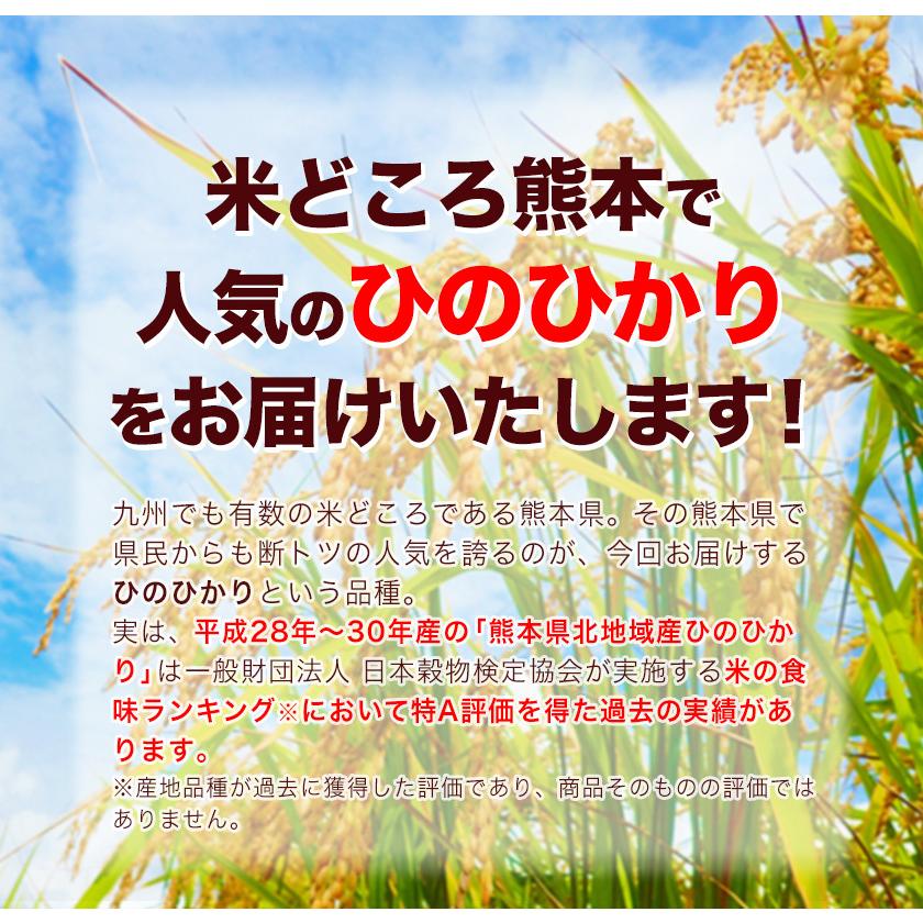 令和4年産 ひのひかり 10kg (5kg ×2袋)  米10kg 米 10kg お米 送料無料 熊本県産  精米 白米《1-5営業日以内に発送予定(土日祝日除く)》