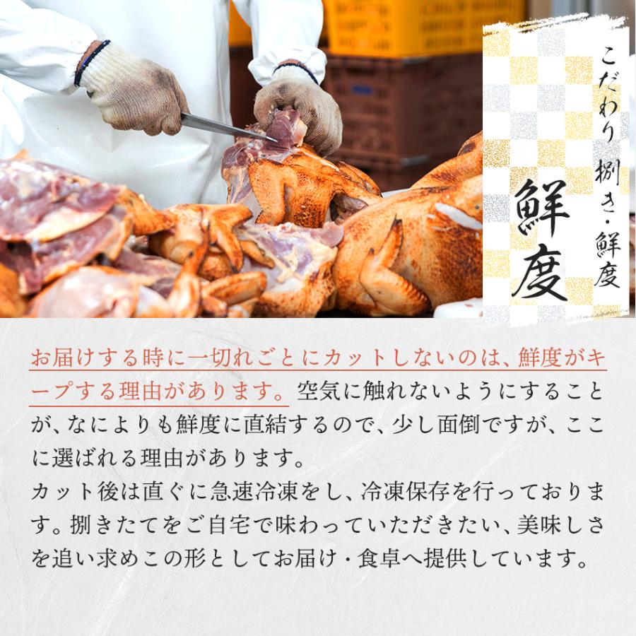 送料無料 鹿児島県産 鳥刺し 鶏さし 鶏肉 鶏刺し 刺し身 刺身 ポイント消化 グルメ 人気 お取り寄せ ご当地 ギフト 