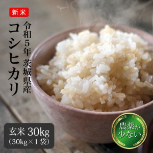 玄米 30kg コシヒカリ 米 お米 送料無料 茨城県産 農薬が少ないお米 令和5年 新米 （北海道・九州 300円）沖縄・離島不可