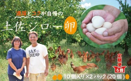 21-1014．濃厚でコクのある味わい！のびのび育った土佐ジローの自然卵20個（10個入り×2パック）