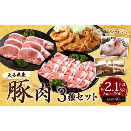 ふるさと納税 022-490 大分県産 豚肉 セット 約2.1kg 大葉胡椒付き 大分県豊後大野市