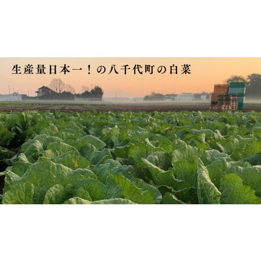 ふるさと納税 茨城県 八千代町 生産量日本一！八千代町の白菜を使った ジューシー白菜餃子 50個（冷凍）ぎょうざ 冷凍餃子 惣菜 中華 点心 お取り…