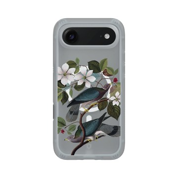 iPhone Air AirX 流變灰 - The British Library - 美洲鳥譜 ‧ 帶尾原鴿