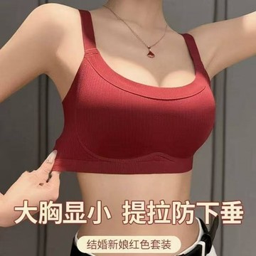 大胸显小内衣 提拉上托防下垂 侧收副乳 全罩杯 无钢圈 文胸罩 一片式无痕抹胸内衣 结婚喜庆bra 调整型文胸