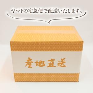 ふるさと納税 令和5年産 日本晴 10kg 全3回 近江米 新米 米粉 200g付 滋賀県竜王町