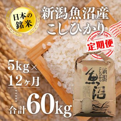 ふるさと納税 十日町市 2024年1月発送開始『定期便』新潟魚沼産コシヒカリ(精米)5kg 全12回