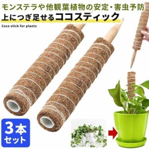 ココスティック 3本セット モンステラ 支柱 観葉植物 おしゃれ プランター 植木鉢 植物 園芸支柱 観葉支柱 ガーデニング ココスティック