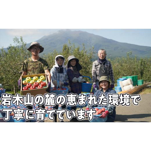 ふるさと納税 青森県 弘前市 1〜3月発送旬のリンゴ詰め合わせ 約5kg糖度13度以上