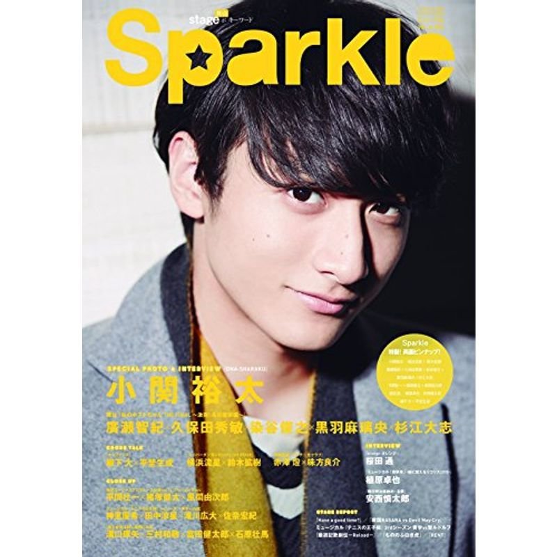 Sparkle vol.24 (メディアボーイMOOK)