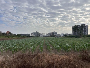 (專)安南區總頭寮工業區旁都計內方正農地｜台南市安南區總安段