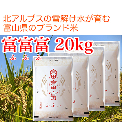 富山 米 20kg (5kg×4袋) 富富富 ふふふ こめ コメ お米 おこめ 白米 精米