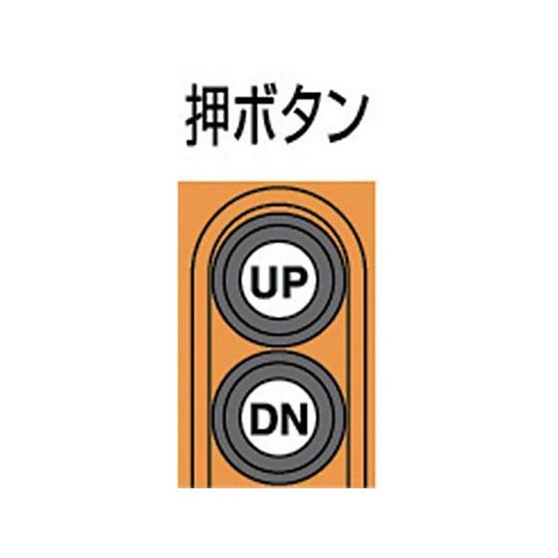 お取り寄せ】象印 単相100V小型電気チェーンブロック 1速型 160kg・3m