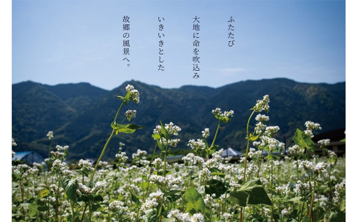 くるめかおるほとめきの茶そば　10袋