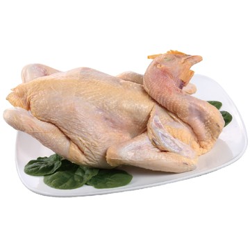 冷藏鹿野嫩黃土雞(每隻約1.6-2.0kg)※因配送關係實際到貨效期約2-3天