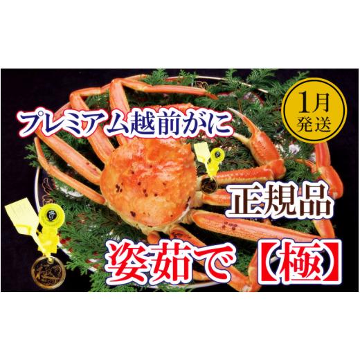 ふるさと納税 福井県 越前町 越前がに本場の越前町からお届け！ 完全なる越前がに「極」 × 1杯 桐箱入り！越前がにの頂点【福井県 越前町 雄…