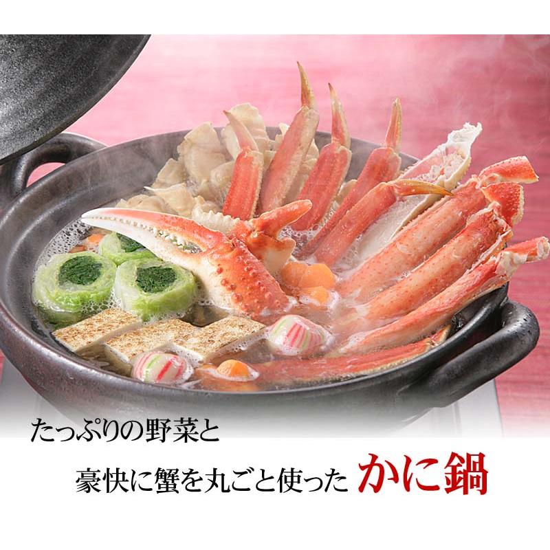 (送料無料) 訳あり 活ズワイガニ 2尾入りで合計1.6kg 活ズワイガニわけあり価格。茹でたてなら到着後、すぐ食べられる未冷凍のずわい蟹。松葉蟹