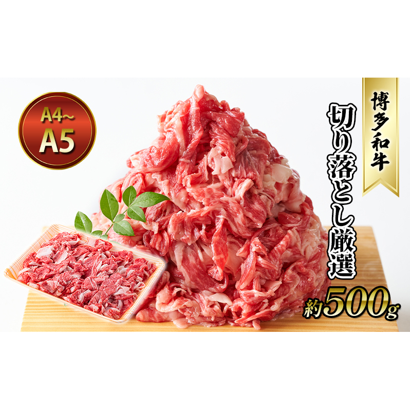 牛肉 切り落とし 約500g 博多和牛 A4～A5 国産 和牛 九州産 黒毛和牛 肉 お肉 牛 冷凍 送料無料 配送不可：離島