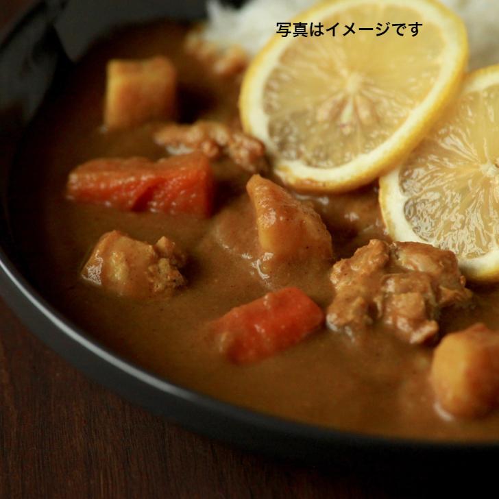 湘南のレモンカレー　 レトルトカレー 中辛200g×2箱(湘南カレー×2) レトルト　湘南　レモン　送料無料