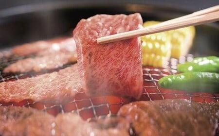 (3-4人前 焼肉 冷凍 国産牛 焼肉 丹波牛 焼肉 赤身 焼肉 霜降り 焼肉 焼肉500g 焼肉3~4人前 京都 焼肉 焼き肉 京丹波町 焼肉 焼き肉 丹波高原 焼き肉