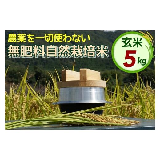 ふるさと納税 京都府 亀岡市 自然栽培米 にこまる ＜農薬を一切使わない無肥料栽培＞ 玄米 5kg《2023年産 京都丹波産 無農薬米栽培向き 厳…