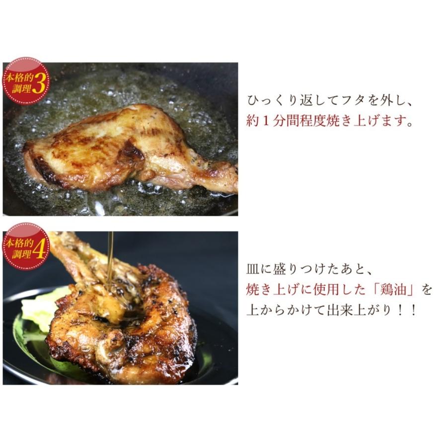 骨付き鳥 国産ひな鶏×10本 鶏油付き 讃岐名物 骨付鳥 産地直送 送料無料 冷凍クール便