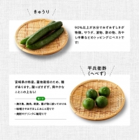 産直おすず村 季節の野菜と果物 厳選 詰め合わせセット（大） 全4回