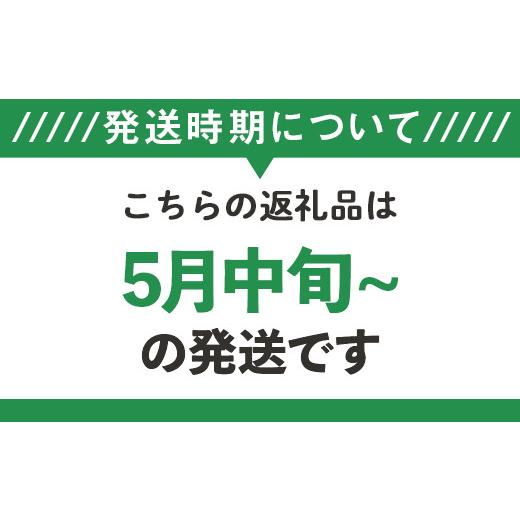 ふるさと納税 北海道 赤井川村 1.新見ファーム有機アスパラ：配送５月中旬〜