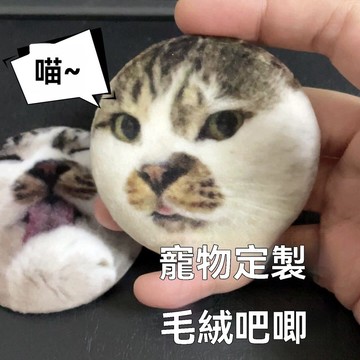 【台灣出貨】寵物吧唧 客製吧唧 穀子 毛絨吧唧客製貓咪照片 穀子可rua 柔軟寵物徽章 留念胸針 包包裝飾品