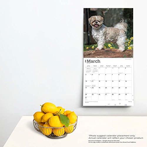 2024年 シーズー カレンダー ブラウントラウト 30.5 x 61 cm (Shih Tzu Square Calendar)