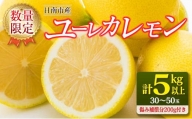 ≪数量限定≫ユーレカレモン(計5kg以上)傷み補償分200g付き　フルーツ　果物　柑橘　国産 BA46-23