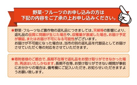 予約受付  みかん 青島 3kg 減農薬 送料無料 西浦 蜜柑 柑橘 オレンジ