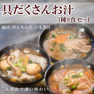 レトルト おかず 惣菜 具だくさんお汁 3種9食セット （豚汁、けんちん汁、いも煮汁） みそ汁