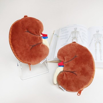 腎臟零錢包 毛絨包 科學 畢業