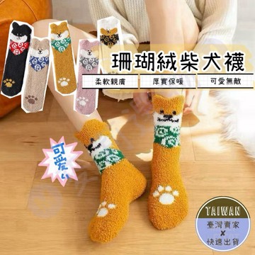 🅜珊瑚絨柴犬襪🅜隔日到貨/現貨/