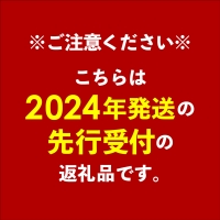 ヤマト農園　完熟マンゴー約2kg（秀品）