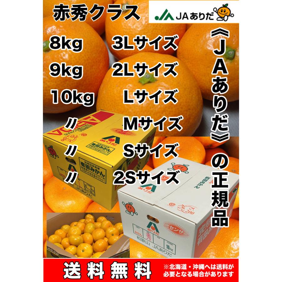 みかん 5kg 有田 送料無料 和歌山 有田 みかん 赤秀 Lサイズ 5kg 贈答用 ギフト 和歌山 有田みかん お歳暮 ギフト